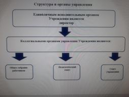 Структура и органы управления